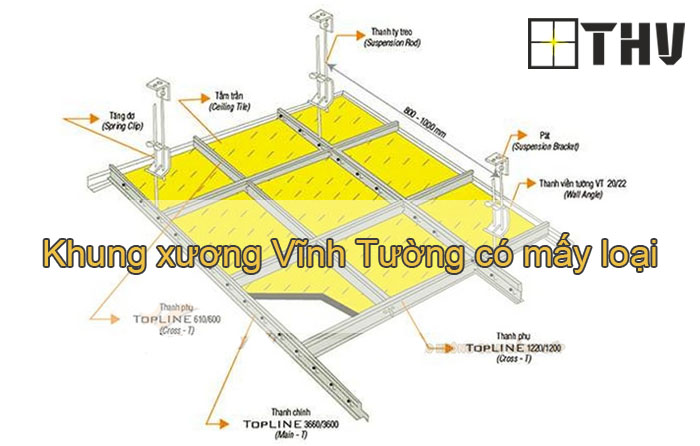 Khung xương Vĩnh Tường có mấy loại